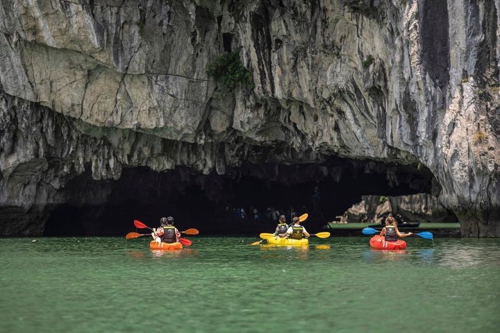 Ha Long Bay Premium Day Cruise with Cave, Island, and Buffet