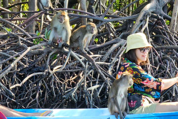 Half-Day Mangrove Tour by Kayak or Longtail Boat
