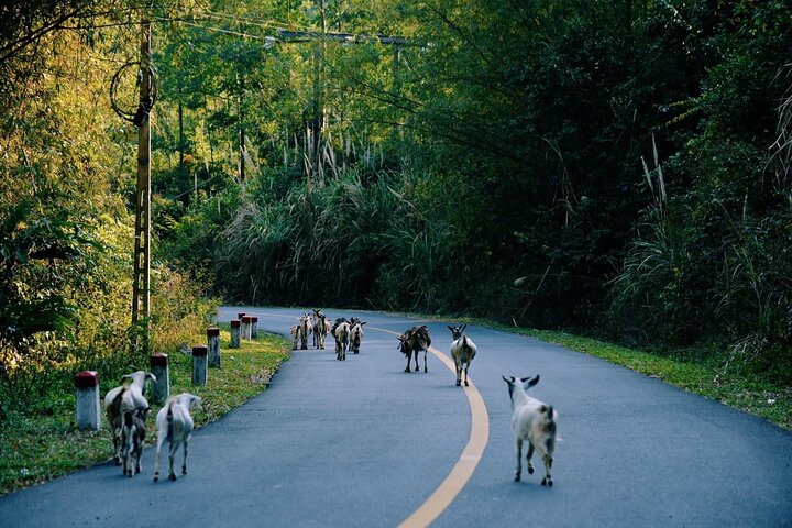 Hanoi: 3-Day Discover the most stunning Cat Ba Island- Lan Ha Bay