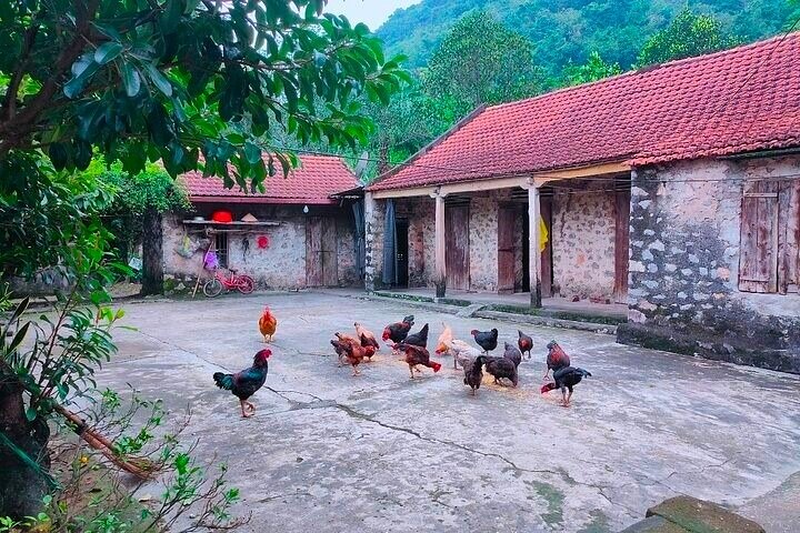 Hanoi: Luxury Private Tour Mua Caves,Local Family, Tam Coc,Hoa Lu
