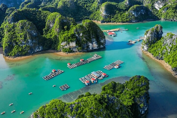 Halong Bay Day Cruise: Discover Thien Cung Cave, Kayaking & Lunch