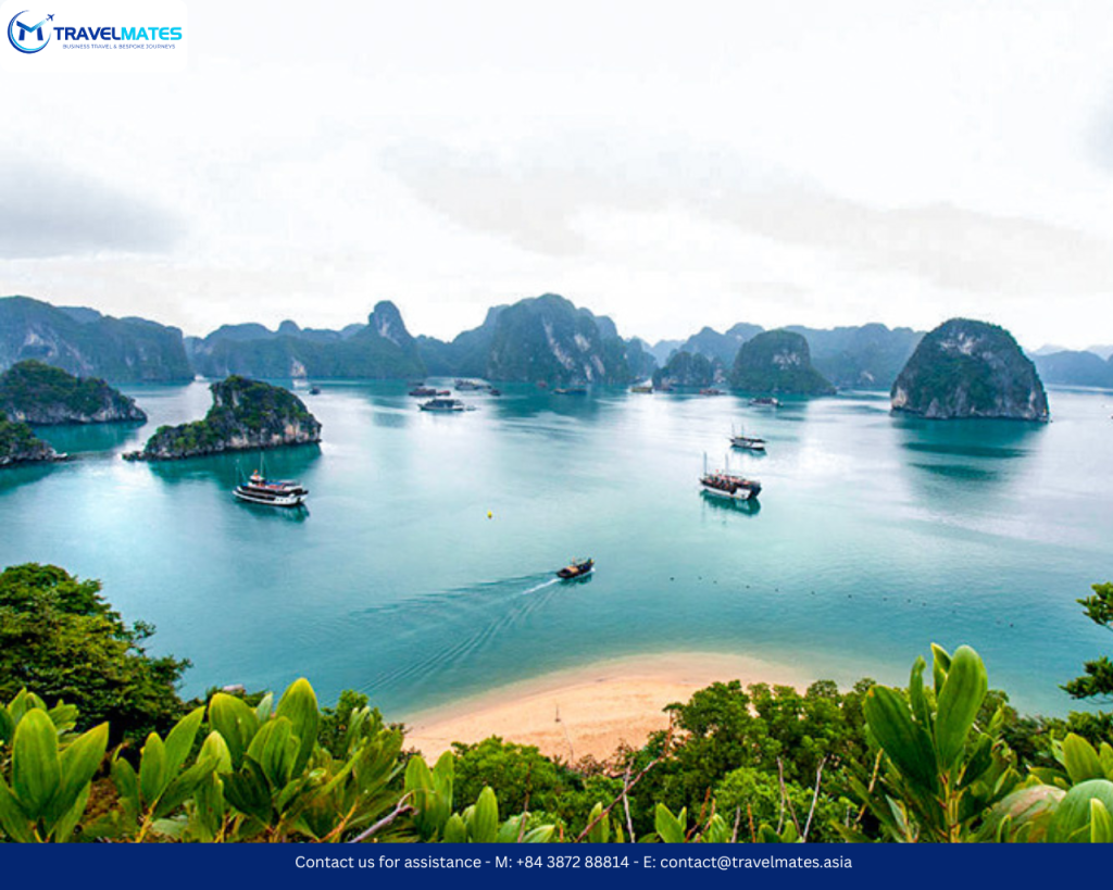 Hanoi to Halong Bay Day Full Day Join-In with La Casta Cruise with lunch