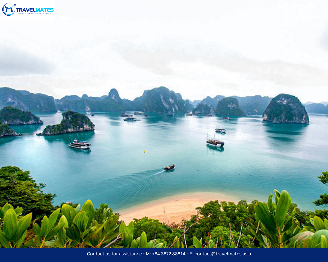 Hanoi to Halong Bay Day Full Day Join-In with La Casta Cruise with lunch