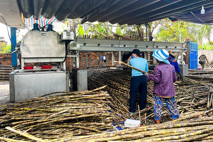Hoi An: HOI AN SCENIC RIVER CRUISE AND VILLAGE TOUR