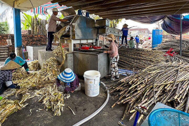 Hoi An: HOI AN SCENIC RIVER CRUISE AND VILLAGE TOUR