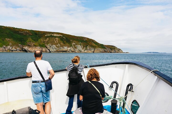 Howth Cliffs and Ireland's Eye Boat Tour