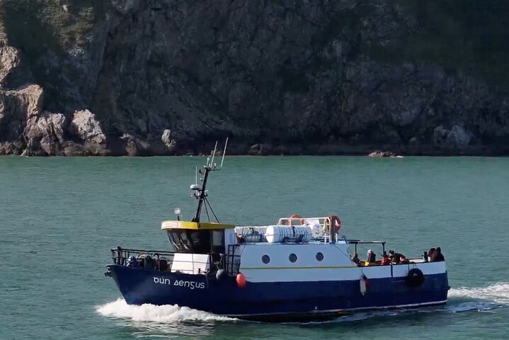 Howth Cliffs and Ireland's Eye Boat Tour