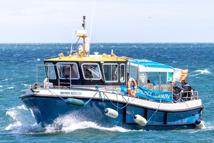 Howth Cliffs and Ireland's Eye Boat Tour