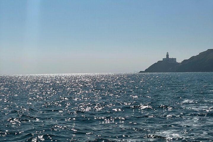 Howth Cliffs and Ireland's Eye Boat Tour