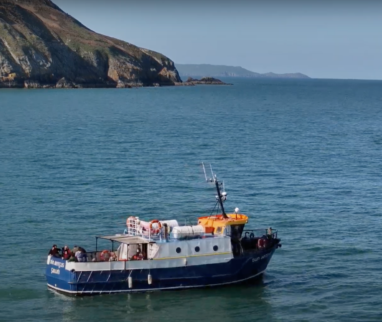 Howth Cliffs and Ireland's Eye Cruise