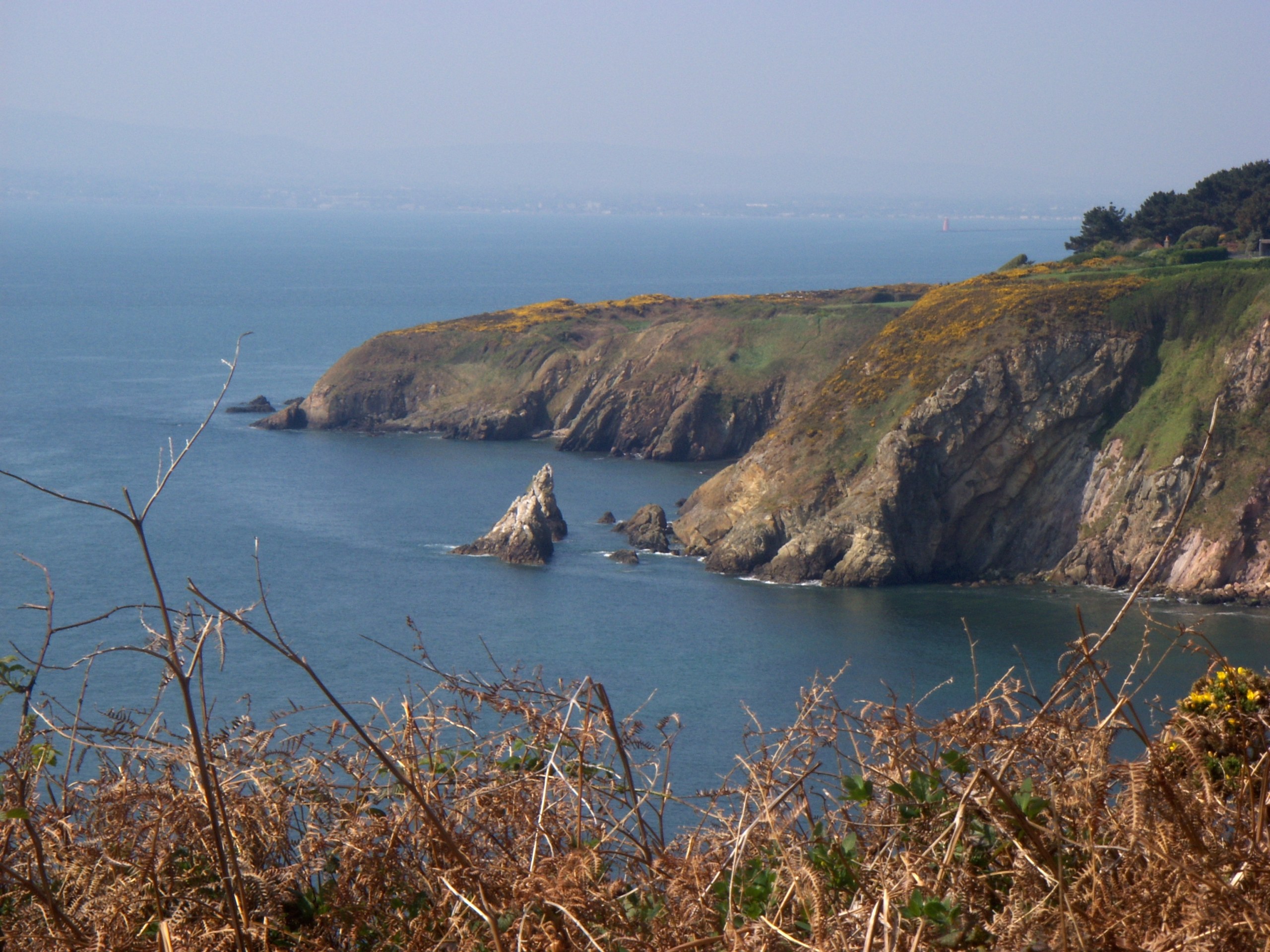 Howth Cliffs and Ireland's Eye Cruise