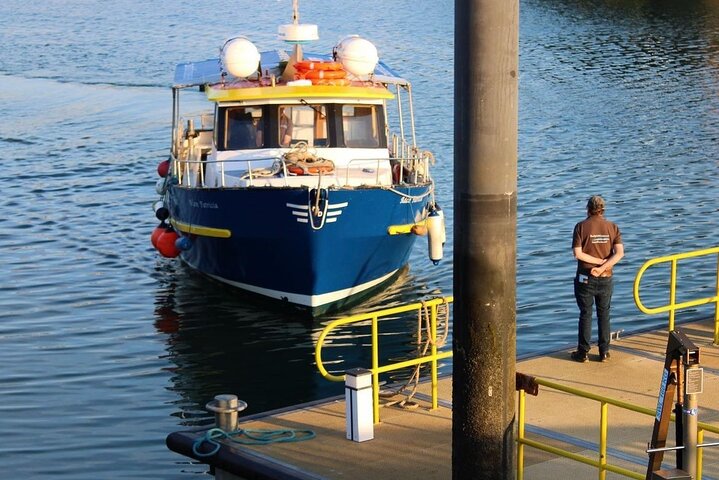Howth Coastal Cruise and Dine Experience