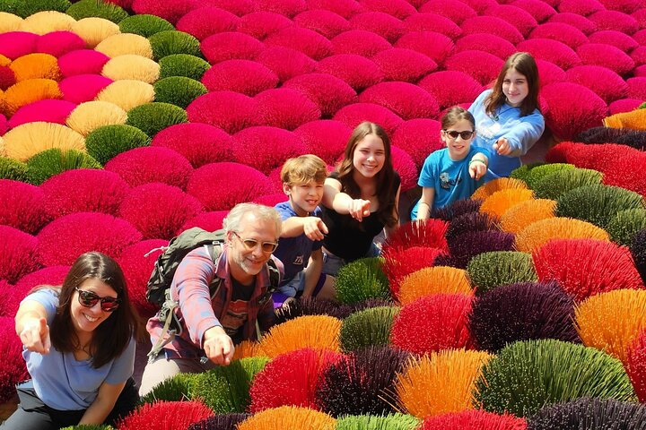 Incense Village Small Group Of 9 Tour From Hanoi to Ninh Binh