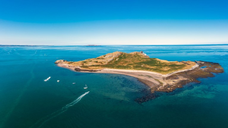 Ireland's Eye and Howth Coast Boat Tour