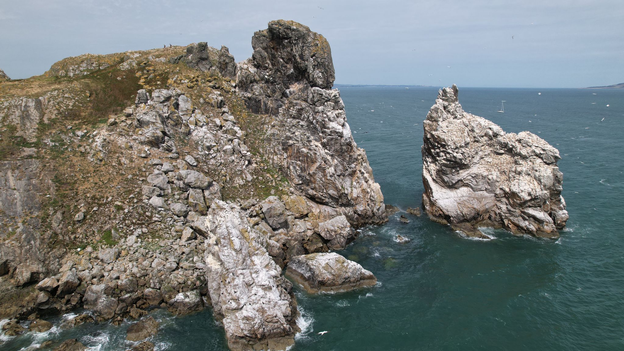 Ireland's Eye and Howth Coast Boat Tour