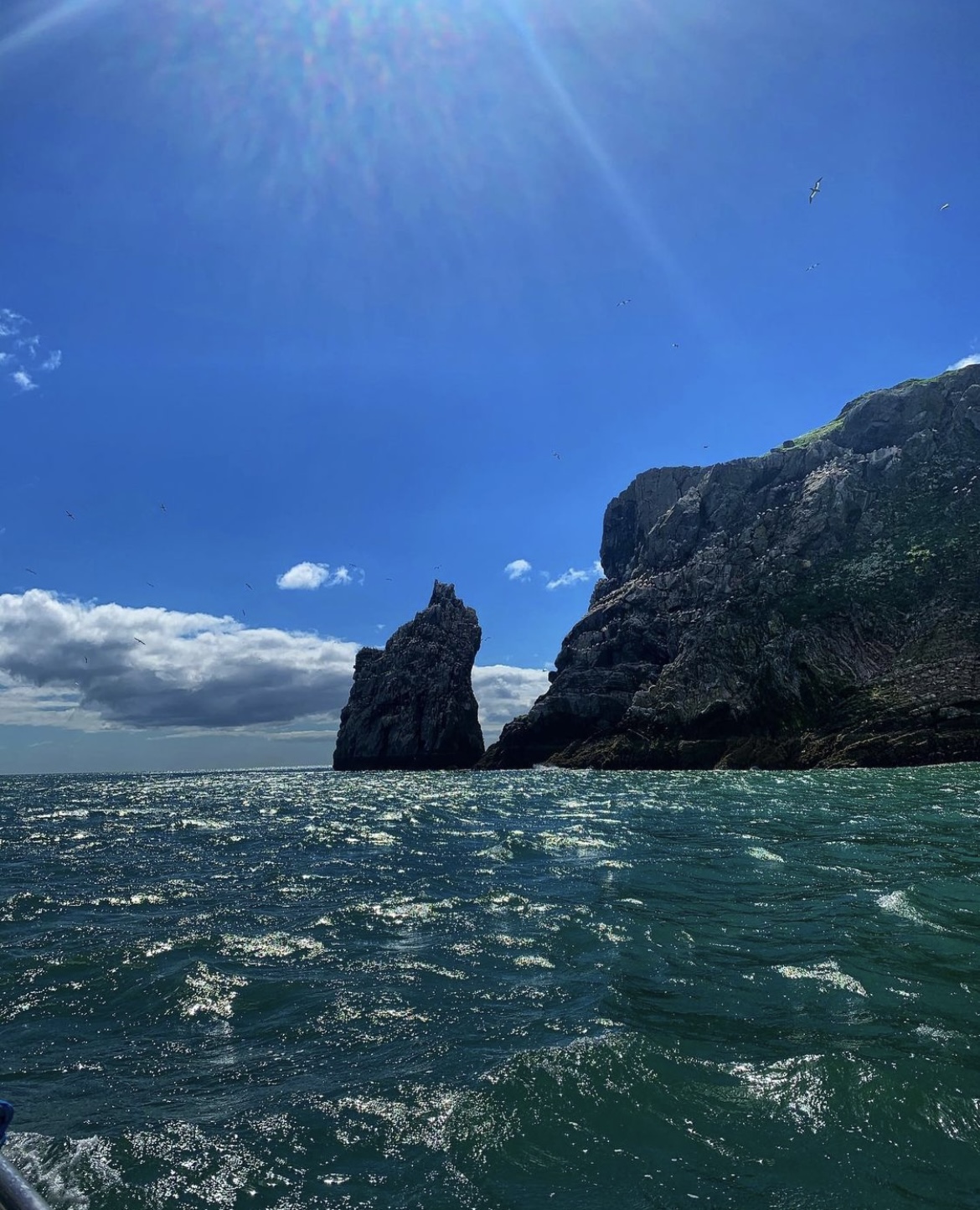 Ireland's Eye and Howth Coast Boat Tour