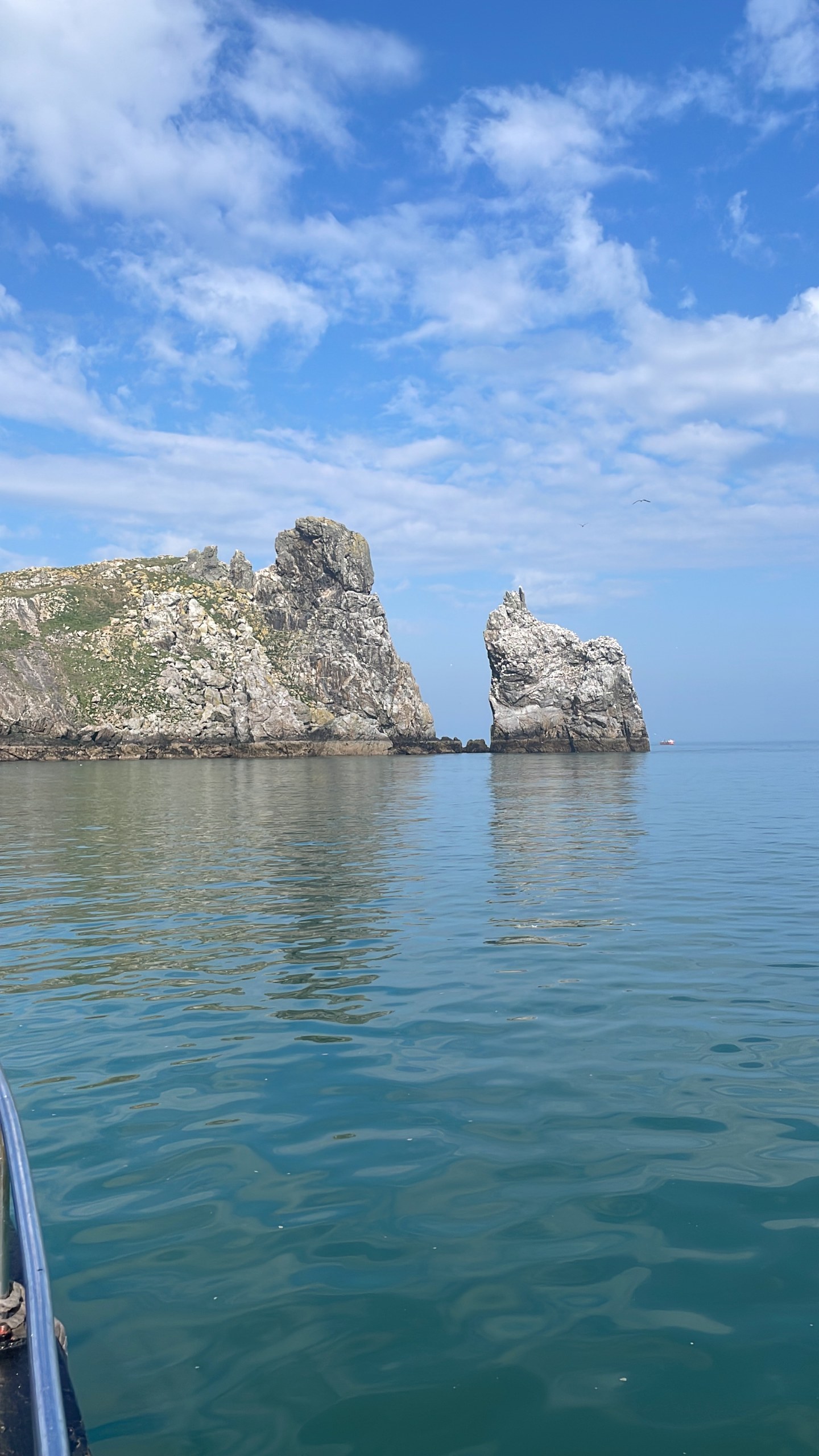 Ireland's Eye and Howth Coast Boat Tour