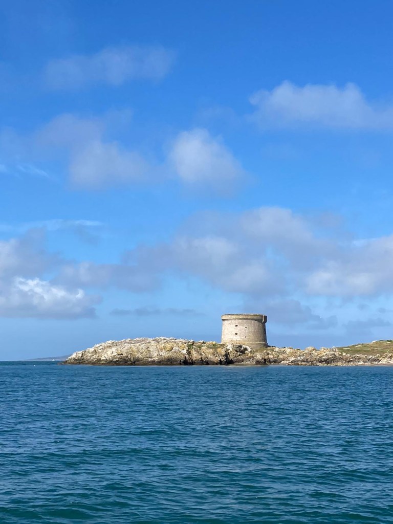 Ireland's Eye and Howth Coast Boat Tour