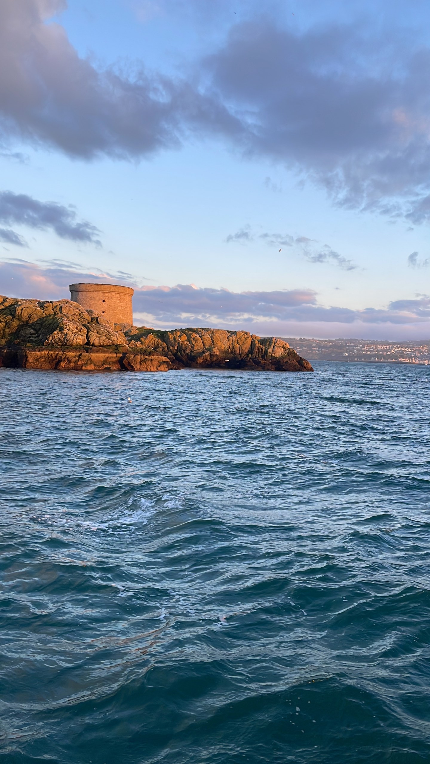 Ireland's Eye and Howth Coast Boat Tour