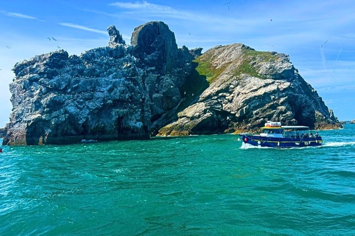 Ireland's Eye and Howth Coastal Boat Tour