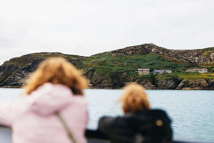 Ireland's Eye and Howth Coastal Boat Tour