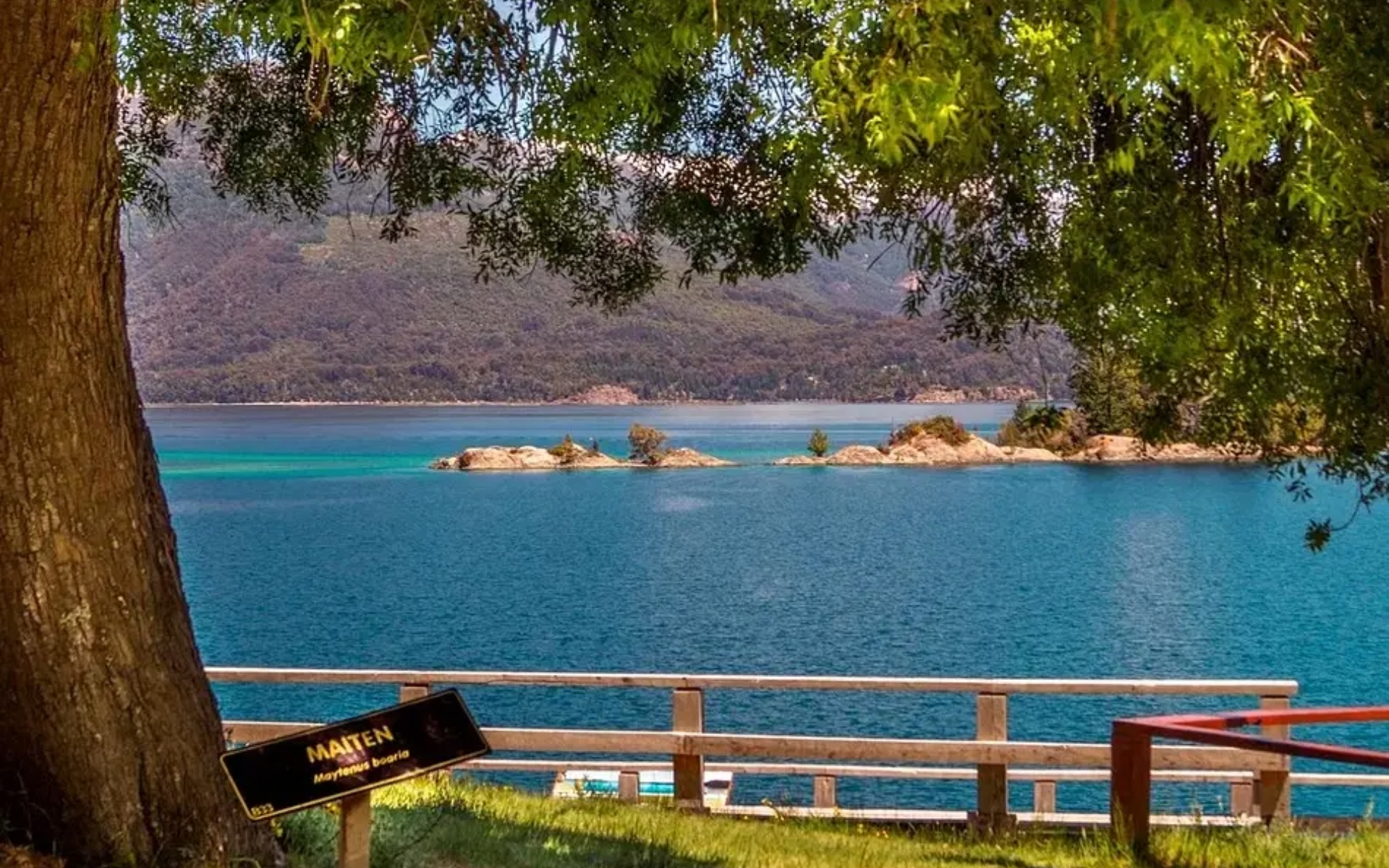 Isla Victoria y Bosque de Arrayanes Tour en barco desde Bariloche