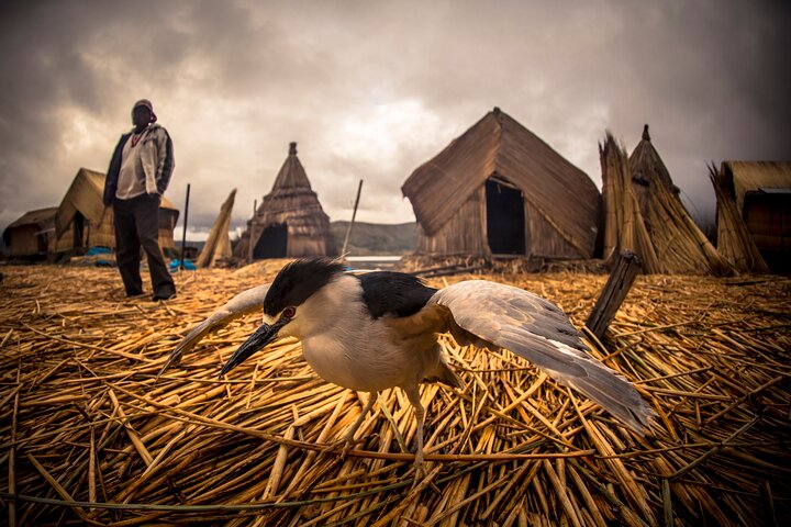 Kayaking by The Uros Island
