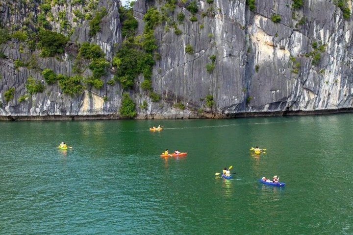 Lan Ha Bay Luxury Day Cruise with Savory Lunch from Cat Ba Island