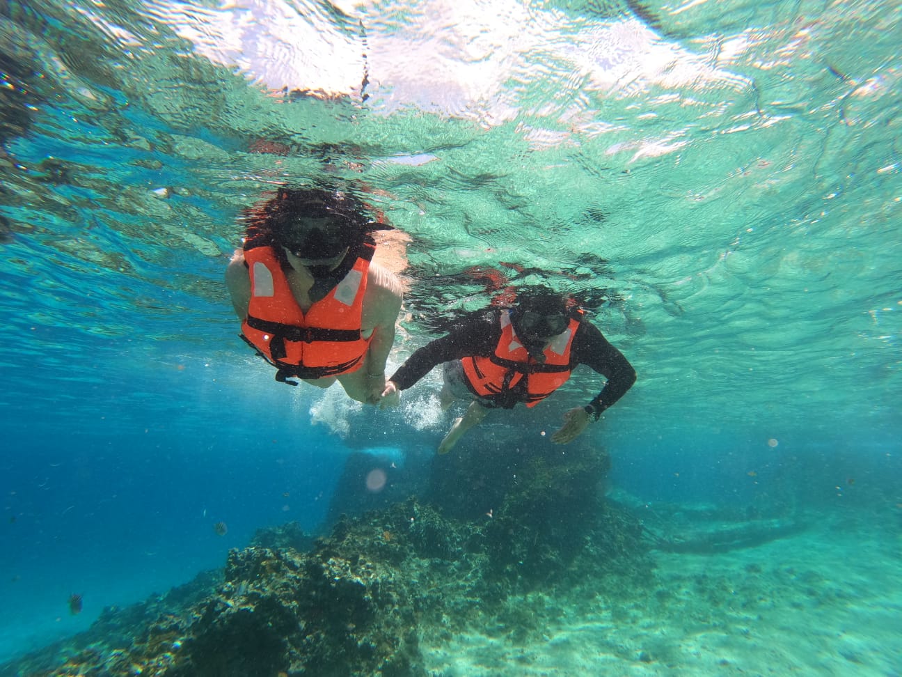 Lancha Transparente en Cozumel
