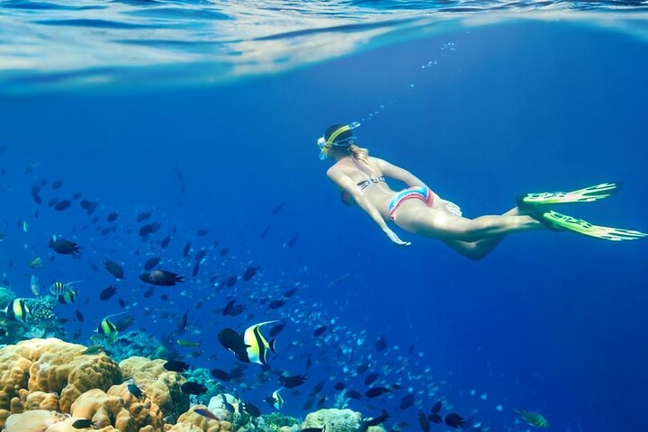 Lombok Pink Beach Boat Trip (Full Day + Snorkeling)