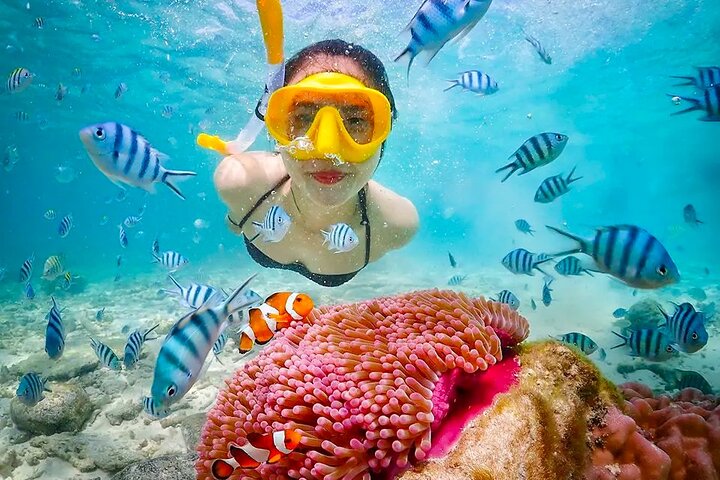 Lombok Pink Beach Boat Trip (Full Day + Snorkeling)