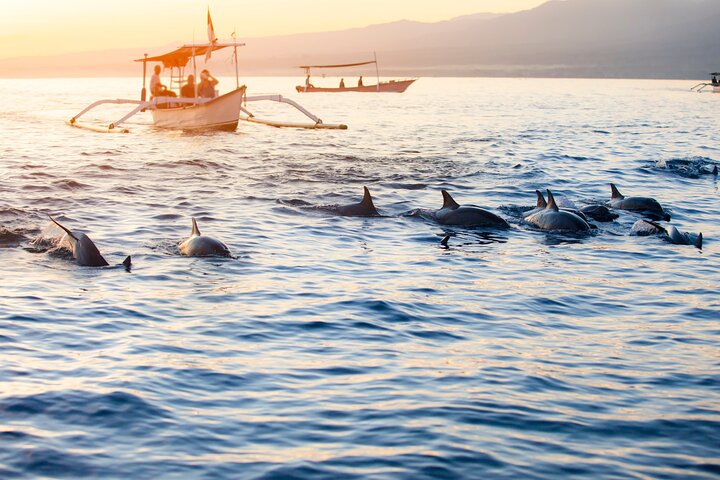 Experience the magic of dolphins dancing at sunrise on Lovina Beach.