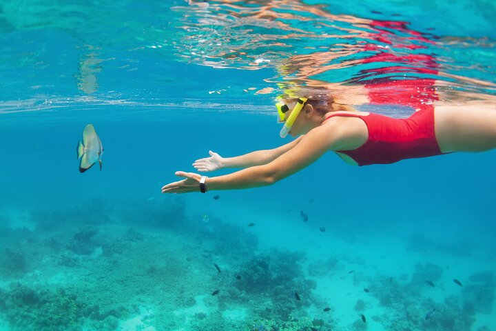 Explore Lovina Beach's vibrant underwater world and discover colorful marine life up close.