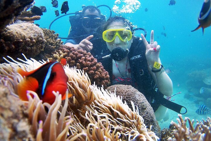 Nha Trang Diving Tour at Coral Bay