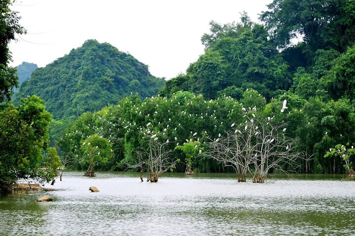 Ninh Binh Gateway 2 Days 1 Night Small Group Tour From Hanoi