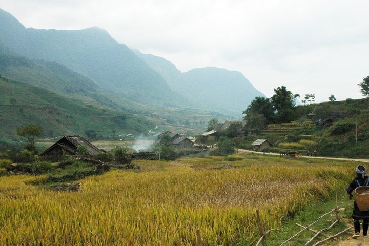 Northern Vietnam at A Glance: Halong Bay & Sapa 5 days