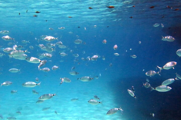 Ocean Blue - Morning Blue Lagoon