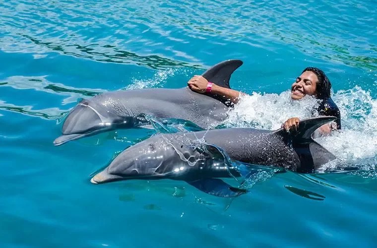 Ocean World Adventure Park Puerto Plata