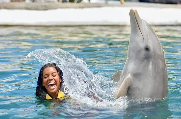 Ocean World Adventure Park Puerto Plata