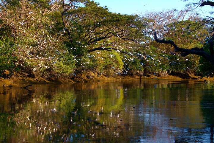 Palo Verde Boat and Farming Tour with Lunch