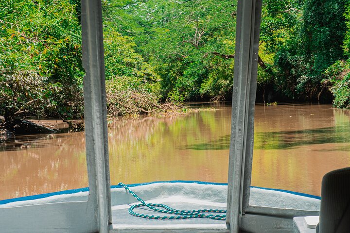 Palo Verde Boat and Farming Tour with Lunch