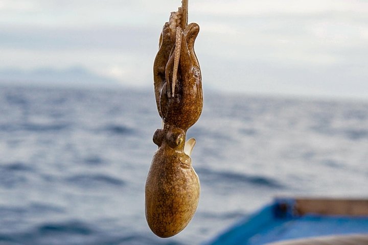 PHU QUOC ISLAND SNORKELING AND FISHING ADVENTURE