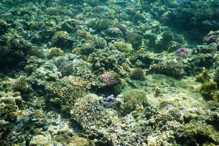 PHU QUOC ISLAND SNORKELING AND FISHING ADVENTURE