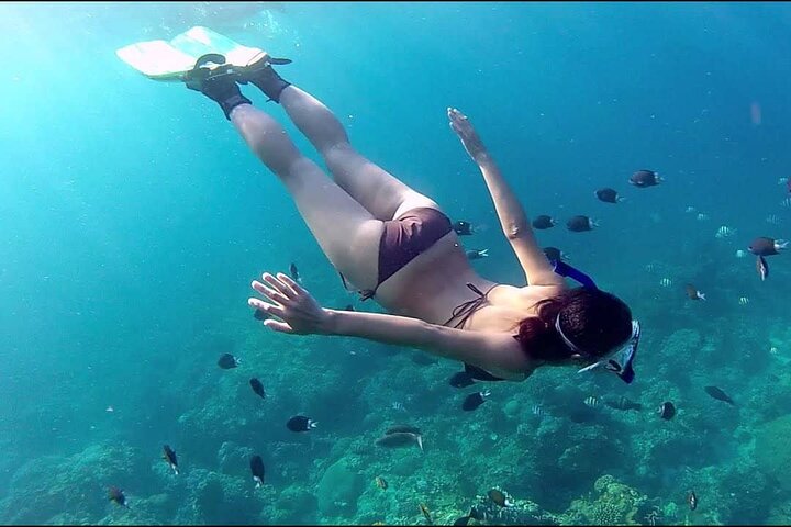 Phu Quoc Pro-Guided Coral Reef Diving Experience