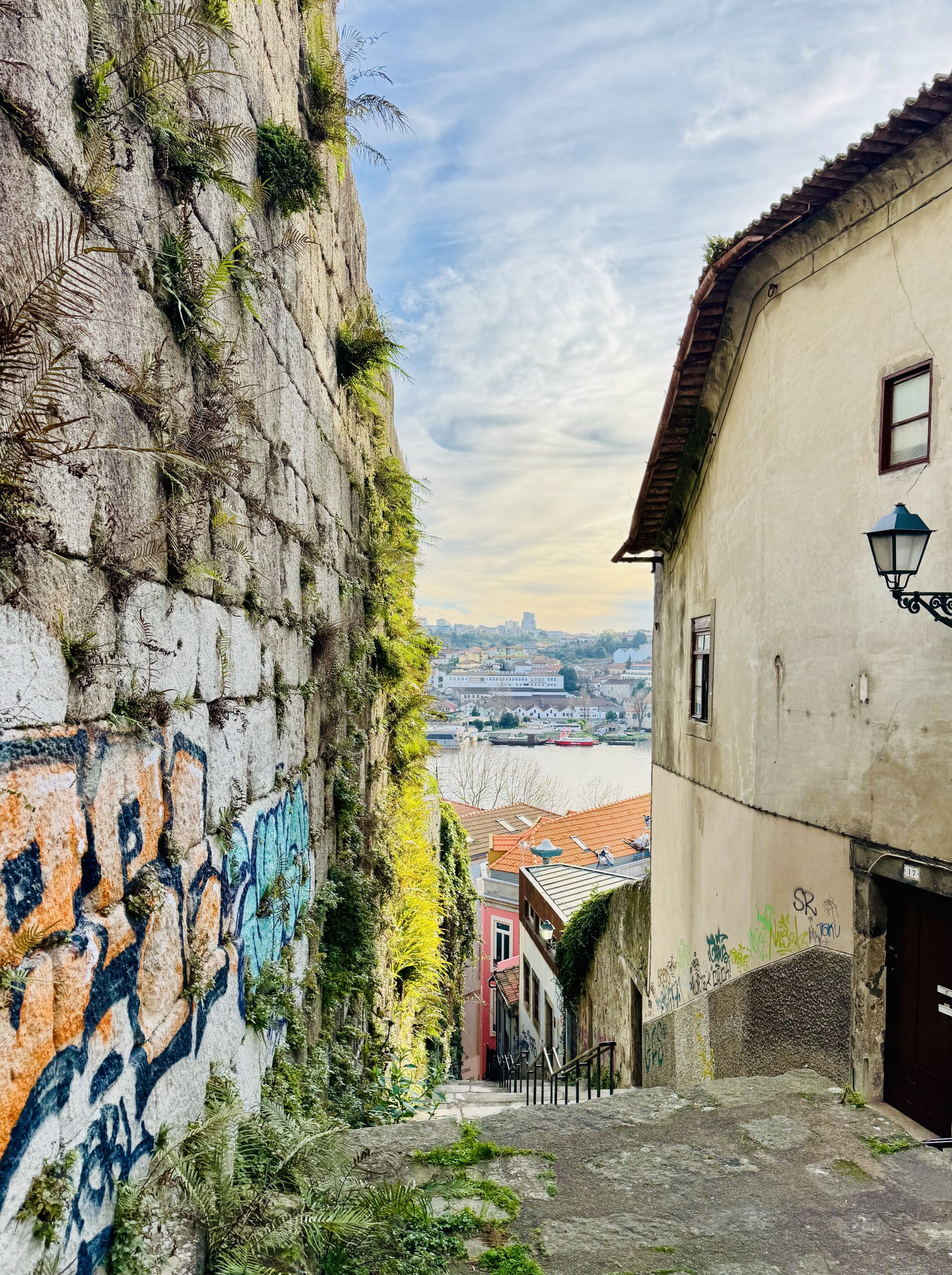 Porto "old town" Walking Tour with river cruise (Small-groups)
