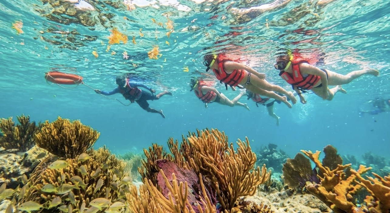 Private Boat Snorkeling in Puerto Morelos