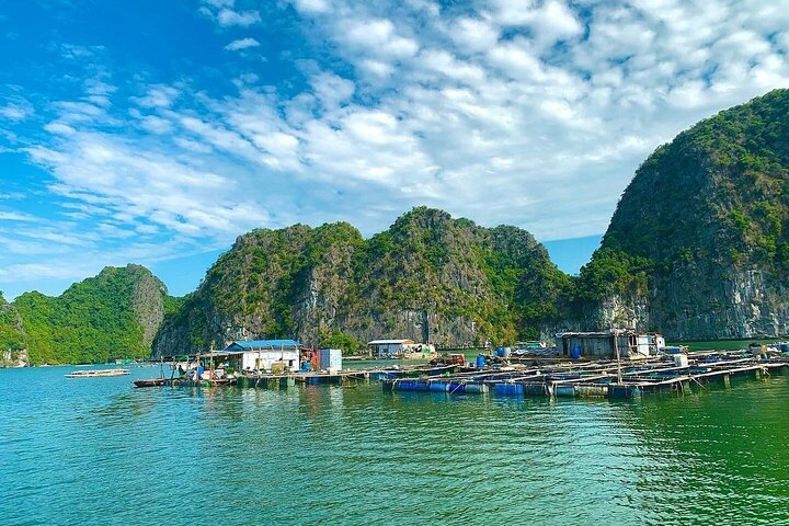 Private Canoe Adventure: Discover the Best of Halong & Lan Ha Bay