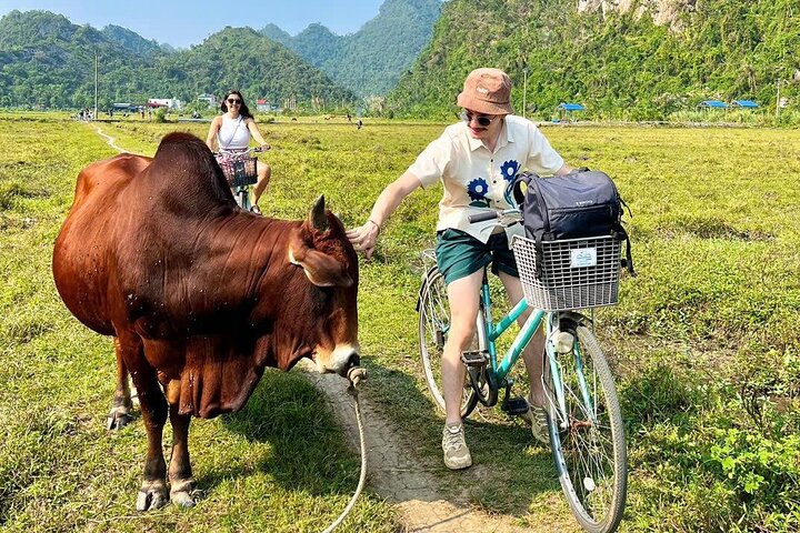 Private Canoe Adventure - Explore Halong, Lan Ha Bay in 4 hours