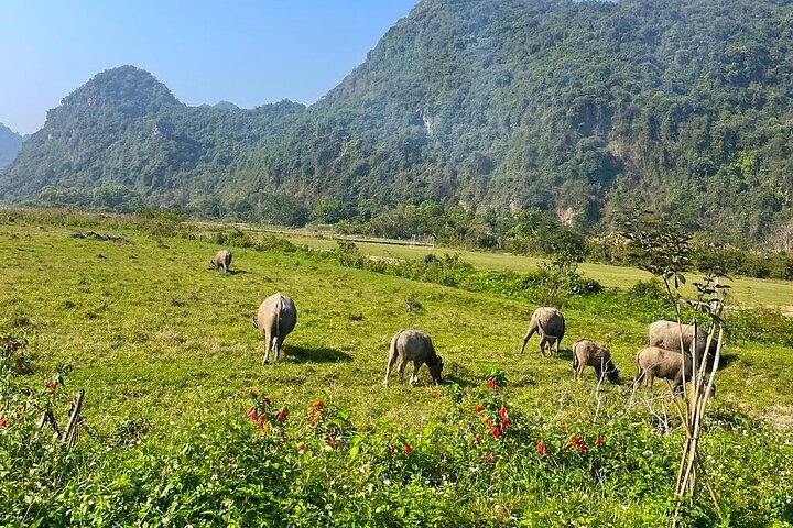 Private Canoe Adventure - Explore Halong, Lan Ha Bay in 4 hours