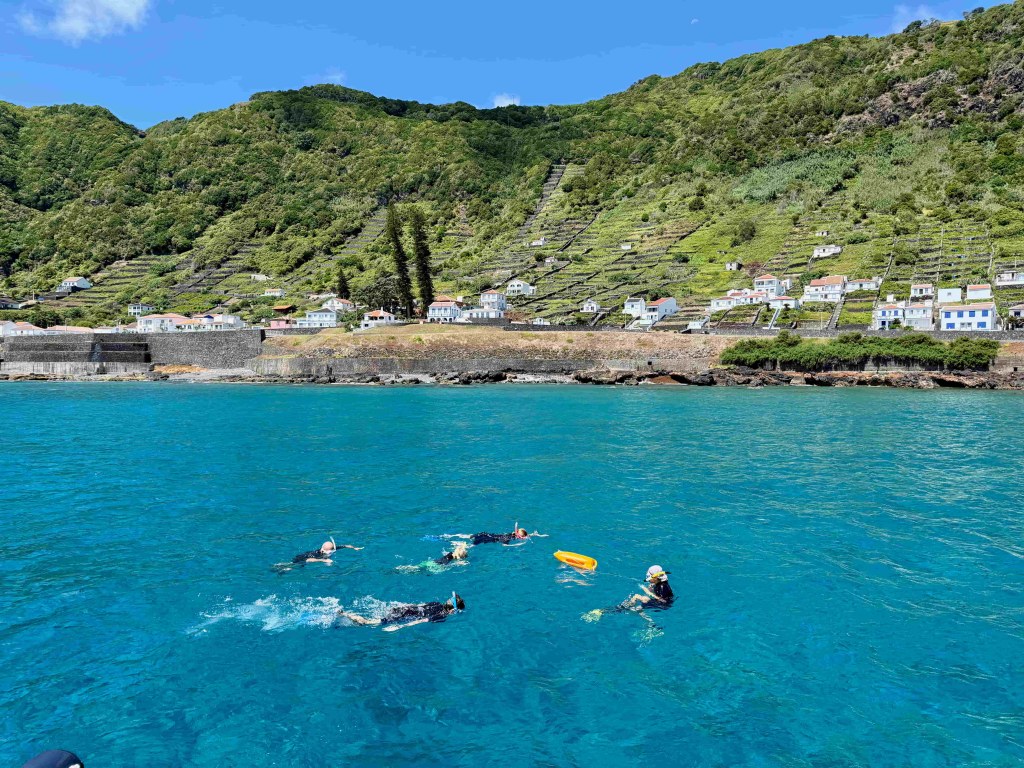 Private Catamaran São Miguel South Coast Tour with Lunch